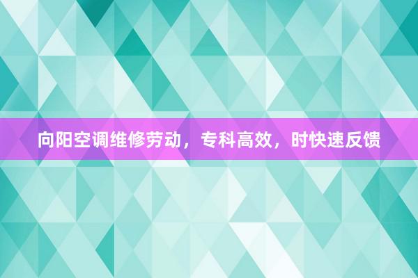 向阳空调维修劳动，专科高效，时快速反馈